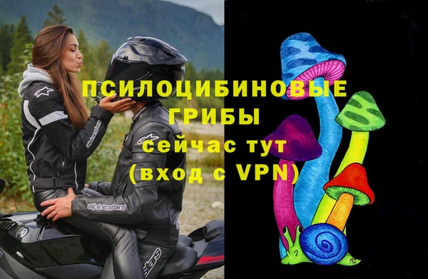 амф Алексеевка