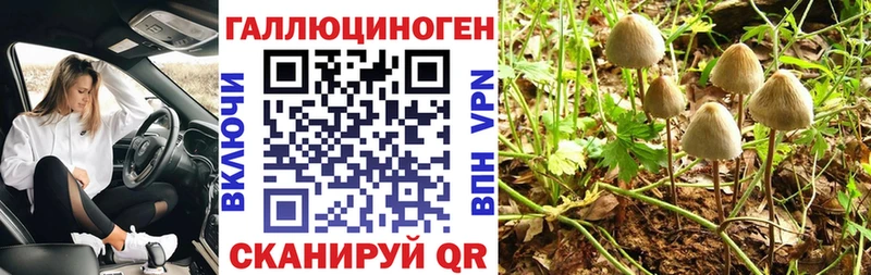 гидра сайт Оханск Галлюциногенные грибы мицелий